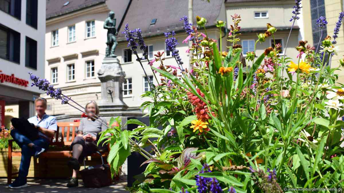 Bekommt Augsburg eine Landesgartenschau?