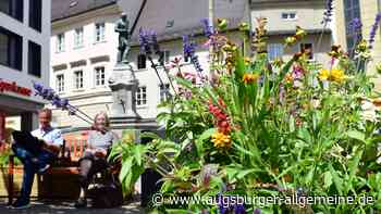 Bekommt Augsburg eine Landesgartenschau?
