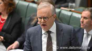 Albanese government's Budget tax overhaul passes after he struck a deal with the Greens