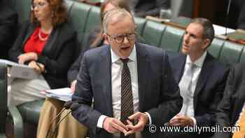Anthony Albanese to ditch 'widow's tax': Prime Minister makes ANOTHER change to the budget