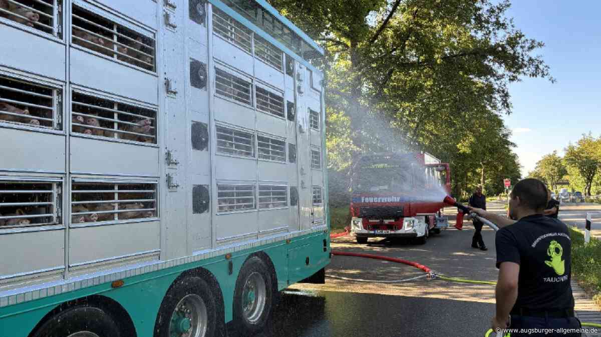Feuerwehr rettet 580 Ferkel aus misslicher Lage