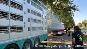 Feuerwehr rettet 580 Ferkel aus misslicher Lage