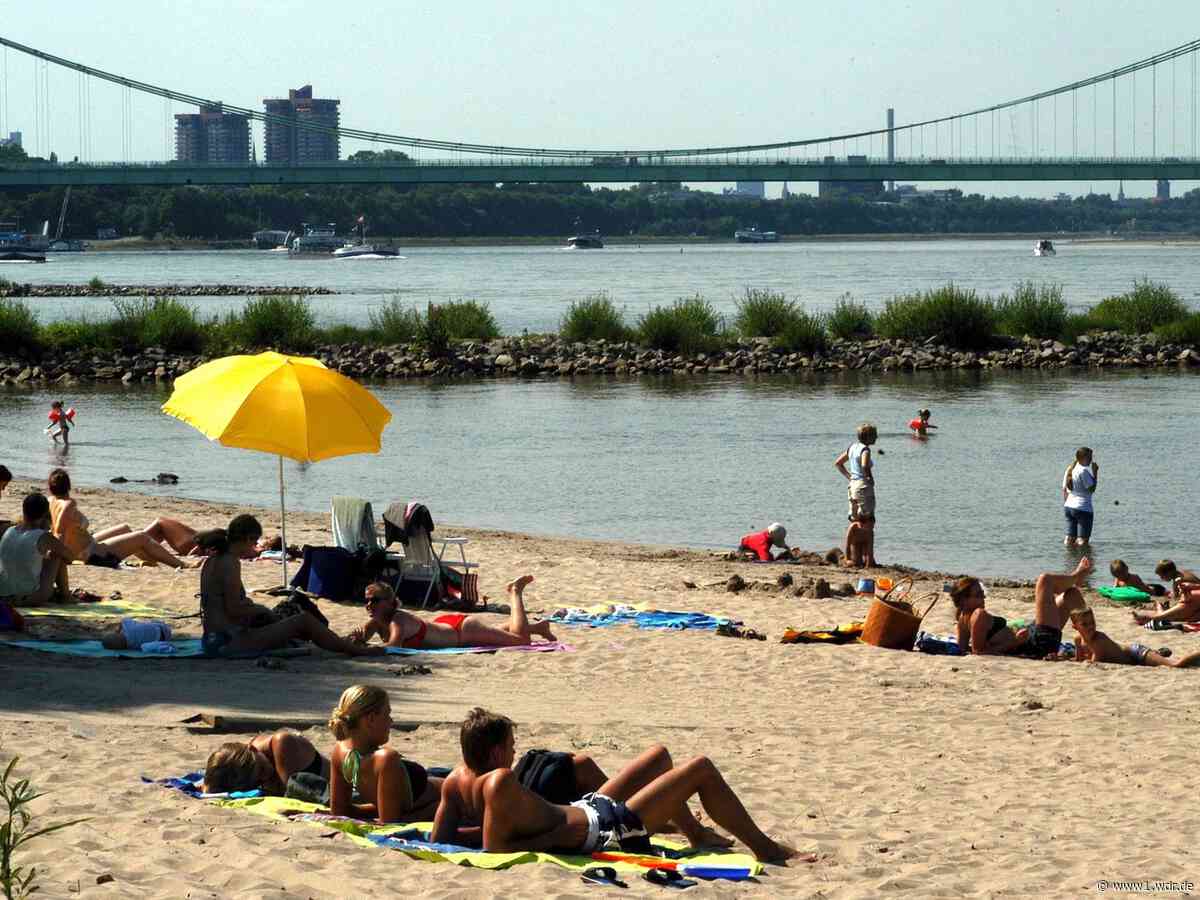 Schwimmen im Rhein: Badeverbot in Köln ist vielen egal