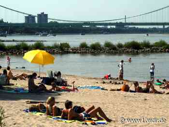 Schwimmen im Rhein: Badeverbot in Köln ist vielen egal