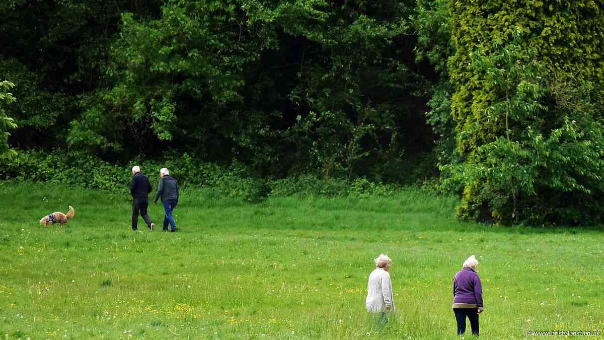 Dozens apply for controversial licences to use Bristol parks
