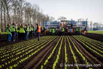 Tesco renews farming scheme after helping more than 200 young farmers