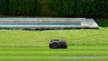'Flawless' robot lawnmower reduced by £155 in double deal cheaper than Prime Day