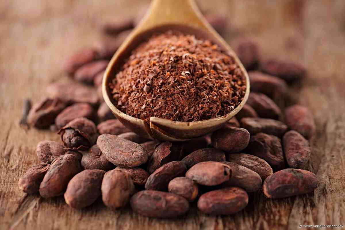 Cocoa, coffee farmers seek African bloc, $6,000 floor price to end foreign control