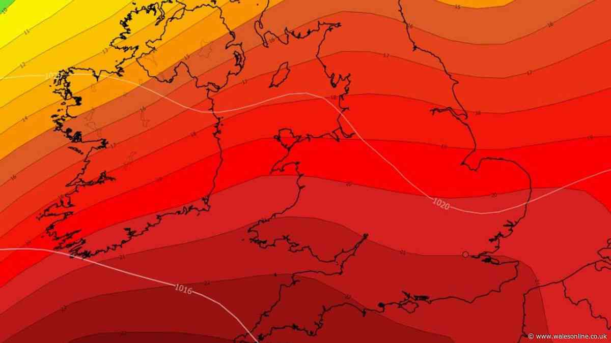 Heatwave live updates as 40C temperatures set to cause major nationwide travel disruption
