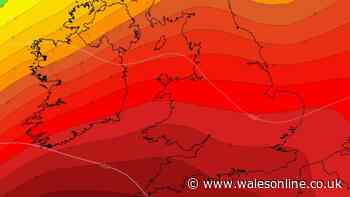 Heatwave live updates as 40C temperatures set to cause major nationwide travel disruption
