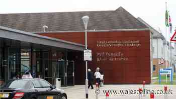 Blood and faecal stains found on furniture and walls of Welsh hospital
