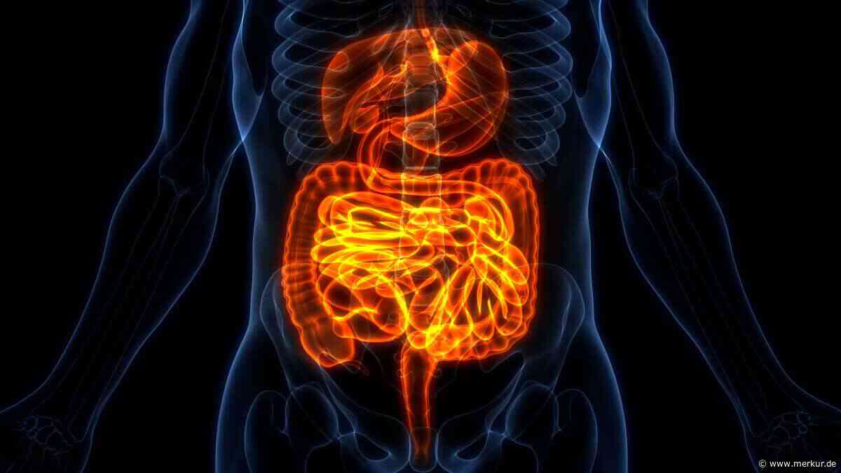 Darmgesundheit: 5 Fragen zur ersten Selbsteinschätzung