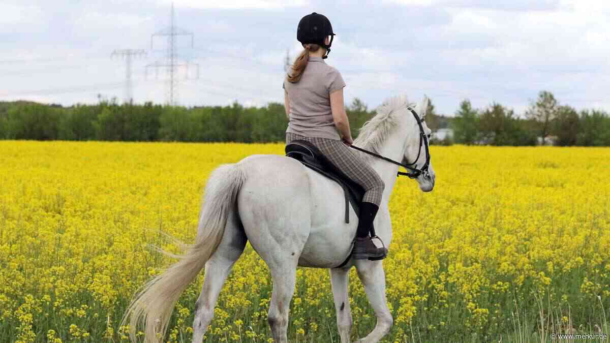 Reitpferde brauchen kein Nummernschild mehr
