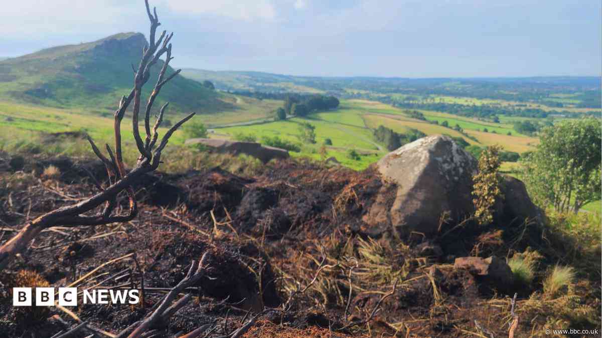 'Near miss' as fireworks cause grassland blaze