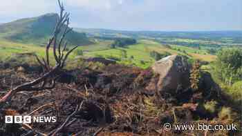 'Near miss' as fireworks cause grassland blaze