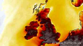 UK weather live: Heatwave to break record again as schools close and hospitals face chaos