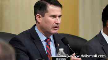 Democrat congressman appears to slap down camera when cornered about support for Nazi tattoo wearing Senate candidate