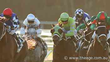 Tips and previews for Rosehill racing on Saturday
