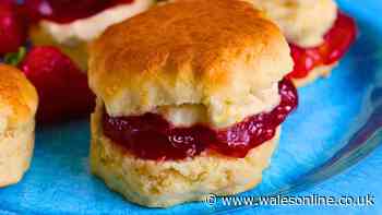 Scones will be taller and even fluffier if you add one simple ingredient to the mixing bowl