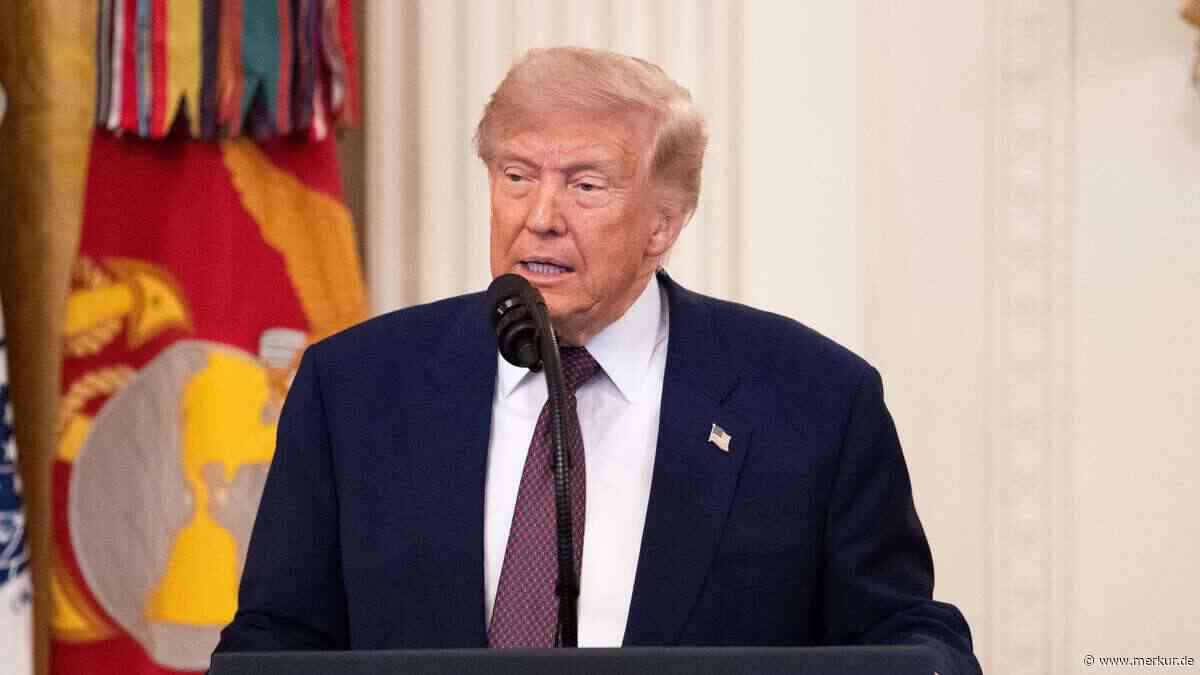 Trump behauptet: Reflecting Pool trotz Vandalismus „perfekt“ – doch Experten zweifeln