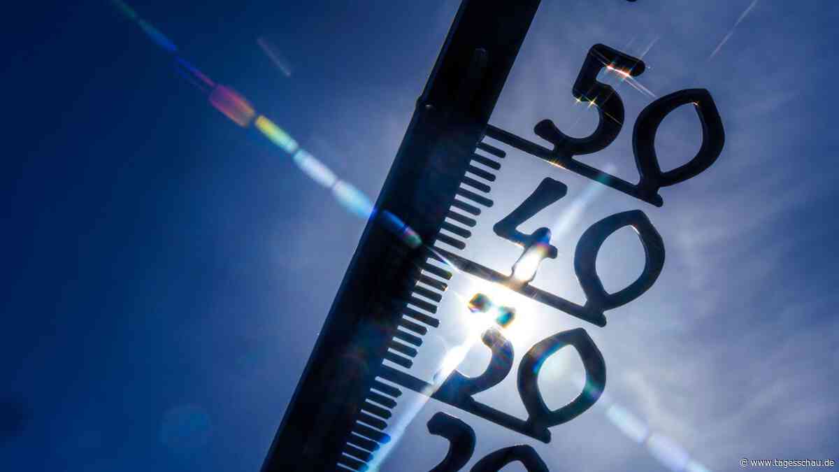Klimadesinformation - Fakes relativieren Hitzewelle