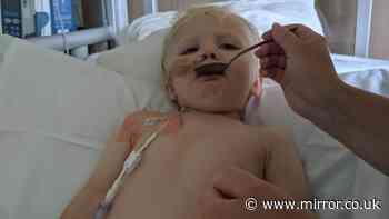 Brit tot left fighting for life as holiday food poisoning becomes deadly condition