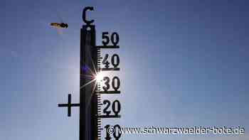 Hitze im Kreis Calw: Wetterdienst warnt vor extremen Temperaturen