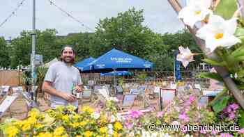 Sonne, Sand und Elbblick: Diese Beachclubs holen den Sommer nach Hamburg