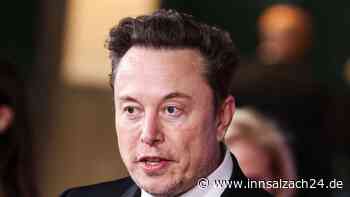 Elon Musk verliert 118 Milliarden Dollar durch SpaceX-Crash