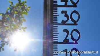 Hitteblog | Rond tien uur al tropische temperaturen, let op je huisdier