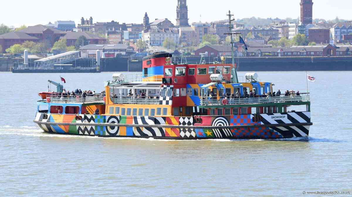 Mersey Ferries suspended 'until further notice'