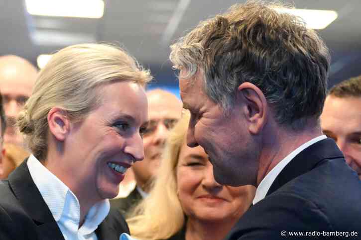 Gutachten: Chancen für AfD-Verbotsantrag stehen gut