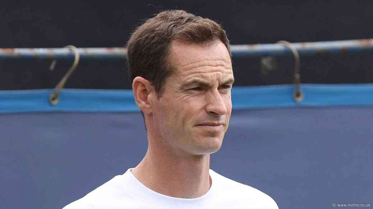 Andy Murray doubles down on taking BBC Wimbledon job after surprising new career change
