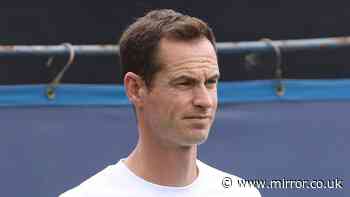 Andy Murray doubles down on taking BBC Wimbledon job after surprising new career change