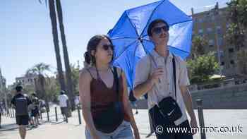 Spain heatwave linked to 213 deaths in three days as temperatures surge past 42C
