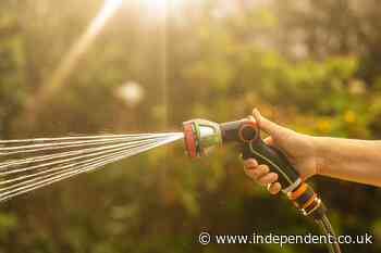 Hosepipe ban map: Is my area under restrictions during record UK heatwave?