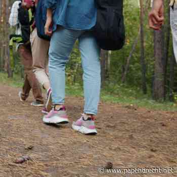 Wandeling naar de 5000 jaar oude Veeneiken in het Alblasserbos