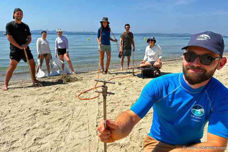 Sous l’une des plus belles plages du Var, « il y a de l’eau douce » : cette équipe scientifique part à la découverte d’un écosystème méconnu