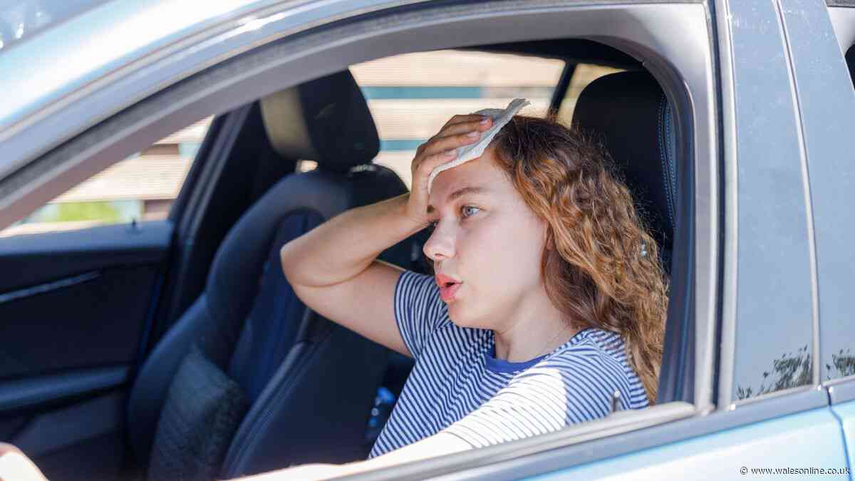 Easy hack to cool your car in less than a minute during heatwave