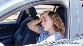 Easy hack to cool your car in less than a minute during heatwave