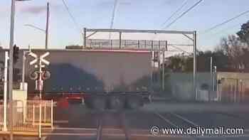 Video captures moment train slams into truck caught on tracks - as investigation finds driver failed to alert authorities of the hazard