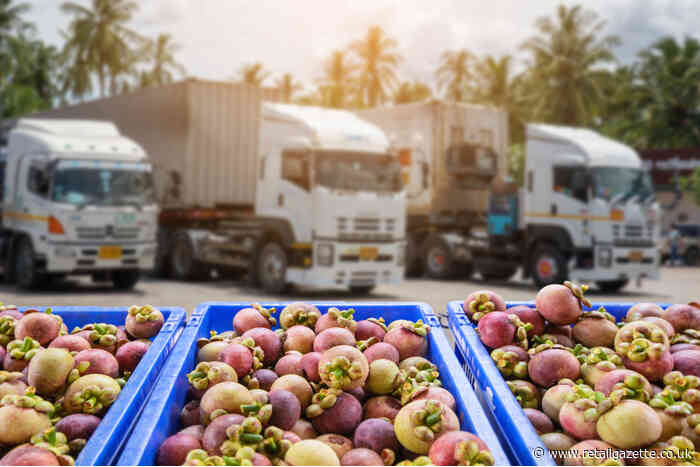 Retailers risk higher costs and missed deliveries without transport overhaul