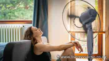 Keep your home cool during heatwave without using a fan or air conditioning — 3 simple steps