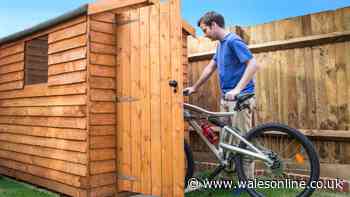 RSPCA urges anyone with garden to 'check sheds and greenhouses'