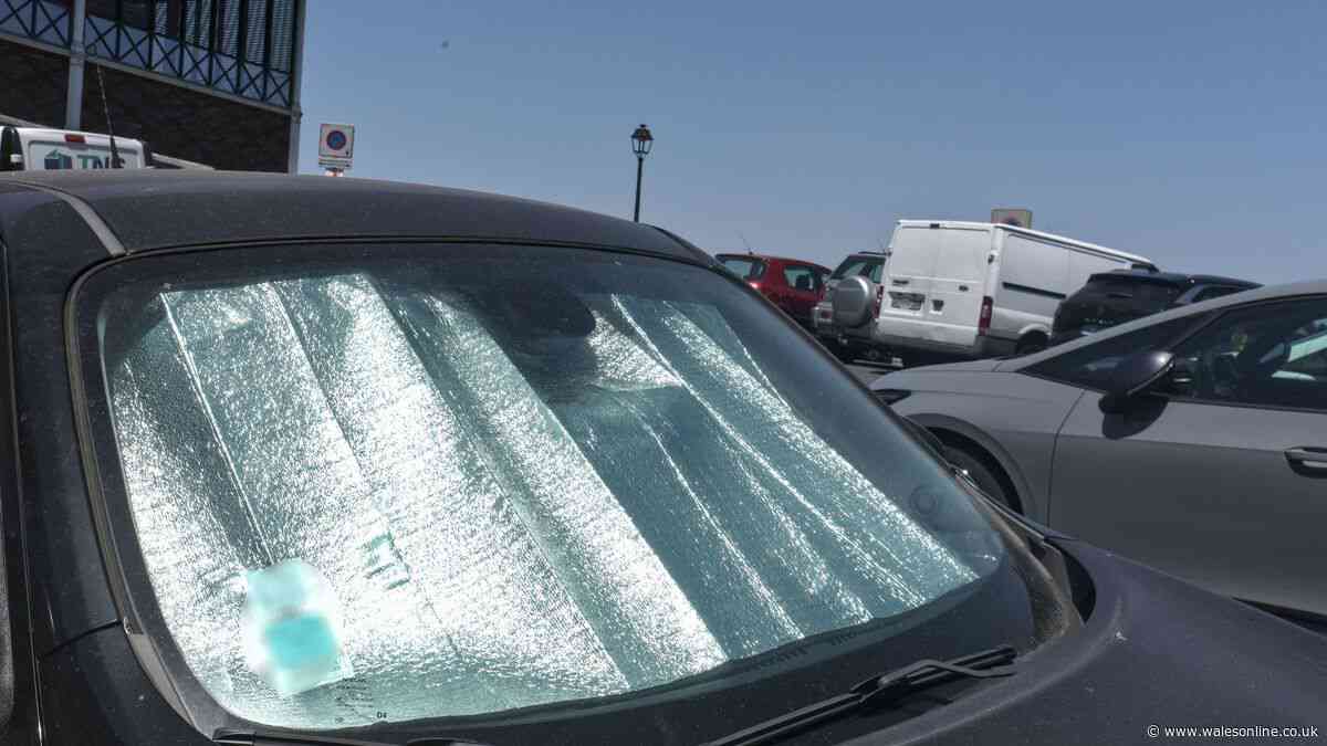 Boy, 3, found dead in hot car in France heatwave after parents thought he was in room