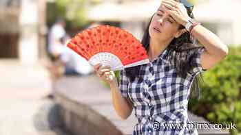 Pharmacist warns five medications 'could cause big problems' during UK heatwave