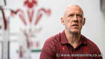 Wales name team to face Barbarians as Jac Morgan returns and four to make debuts
