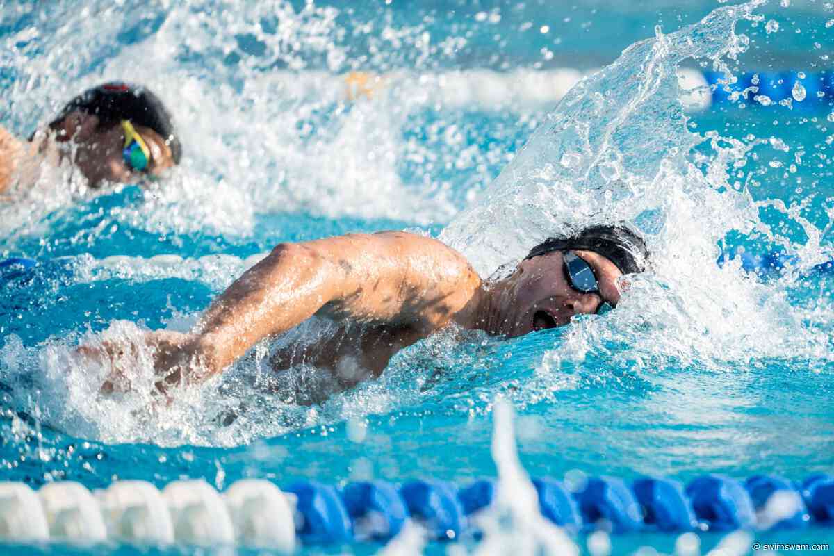 Do You Love Swimming? See 220 Swim Jobs You Might Love