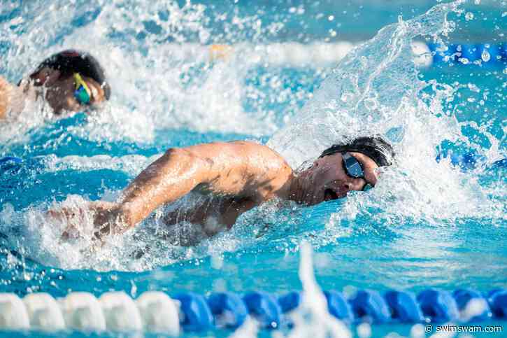 Do You Love Swimming? See 220 Swim Jobs You Might Love