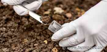 Natural bacteria may protect crops from rising salinity threat